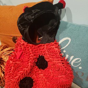 Toddler Ladybug Costume